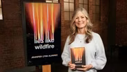 Lies Like Wildfire - Jennifer Lynn Alvarez