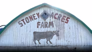 Preview - Stoney Acres Pizza Farm, Casimir Gold Maple Syrup, BroKogi