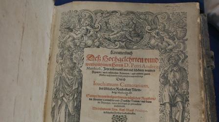 Video thumbnail: Antiques Roadshow Appraisal: 1586 Mattioli German Ed. "Herbal" Book