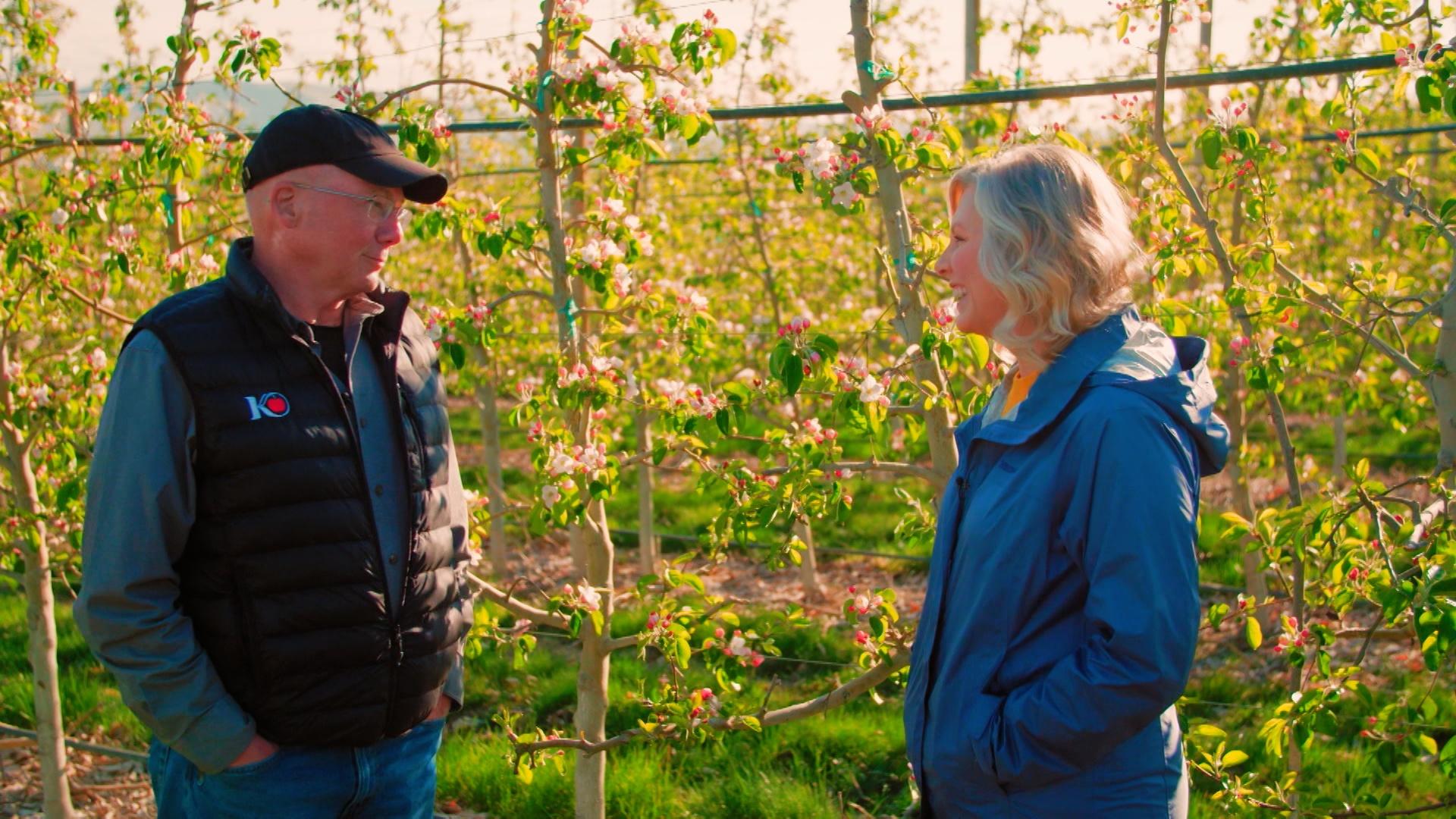 Visit the Yakima Valley to celebrate the vibrant stories and flavors that define this iconic region.