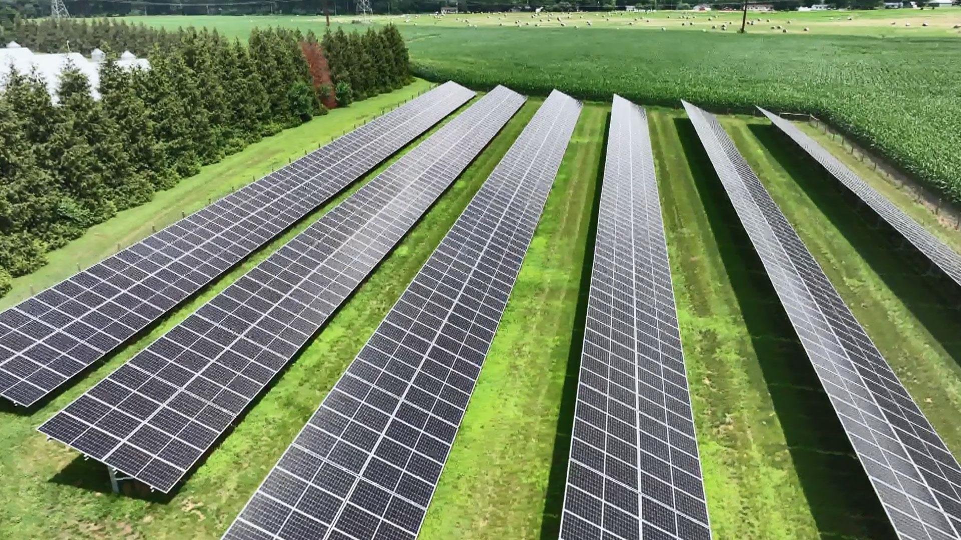 Solar Farm Controversy; Premium Spirits & Premium Ingredients; Al Visits the Buy Local Cookout.