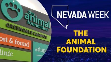 Video thumbnail: Nevada Week The Animal Foundation