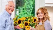 Sunshine Flowers