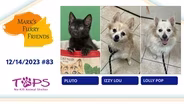 12/14/2023 | Pluto, Izzy Lou and Lolly Pop