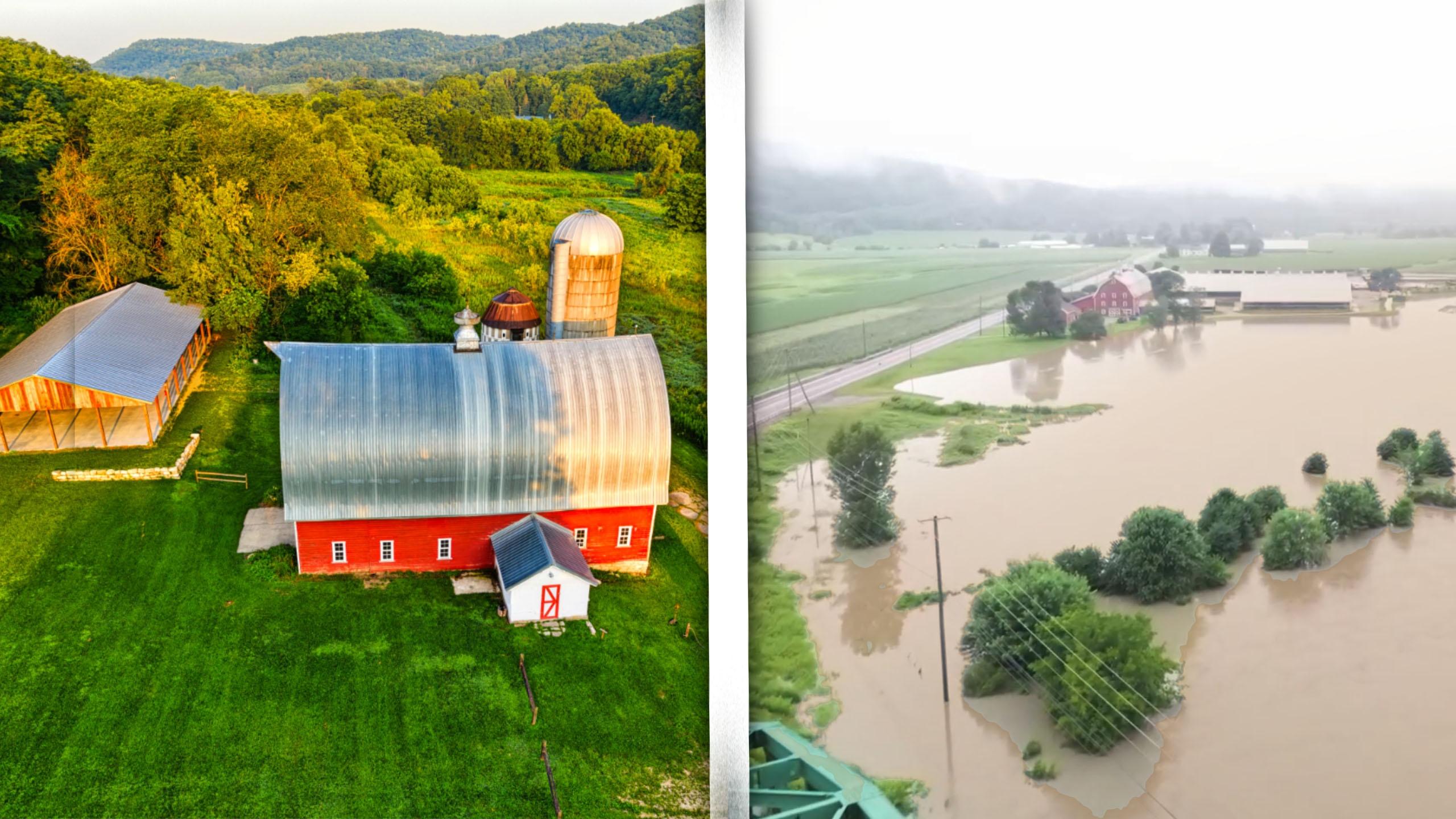 Corie Pierce reveals how regenerative farming helped their fields withstand extreme rainfall.