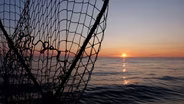 Salmon Fishing, Fishing with Veterans, Salmon Recipe | Michigan Out of Doors