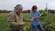 Solutions for Urban Agriculture in Southern California
