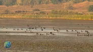 Expanding Emiquon National Wildlife Refuge