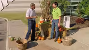 Fall Displays & Hoop House Greenhouses