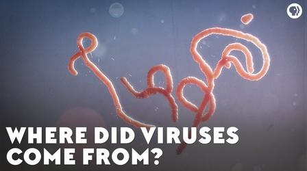 Video thumbnail: Eons Where Did Viruses Come From?