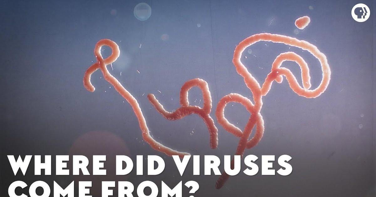 Eons | Where Did Viruses Come From? | Season 1 | Episode 45