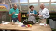 Vegetable Skillet & Lawn Chemicals