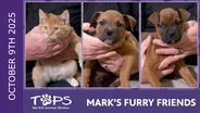 10/9/2025 | Mailbox, Pippy and Penelope | Mark's Furry Friends