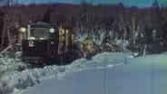 Lumberjack Sky Pilot