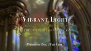 Vibrant Light: Stained Glass of the Basilica at Notre Dame