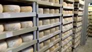 Sweet Grass Dairy