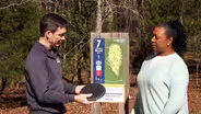 Disc Golf