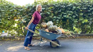 Curing and Saving Winter Squash