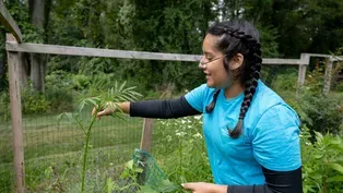 How gardening keeps a Latina rooted to her Peruvian heritage