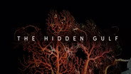 The Hidden Gulf