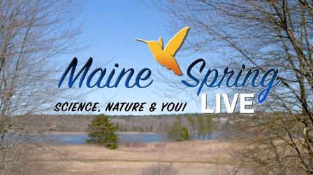 Video thumbnail: Maine Public Original Productions Maine Spring LIVE: Science, Nature, and You