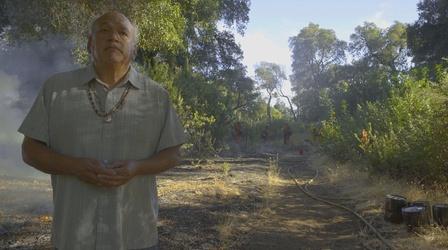 Video thumbnail: Native America Extended Interview: Burning a Forest to Revive a People