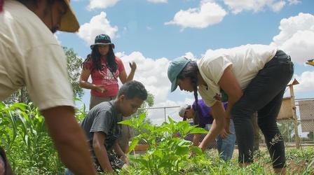 Video thumbnail: Our Land: New Mexico’s Environmental Past, Present and Future Project Feed the Hood