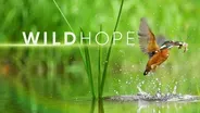 Series Trailer | WILD HOPE