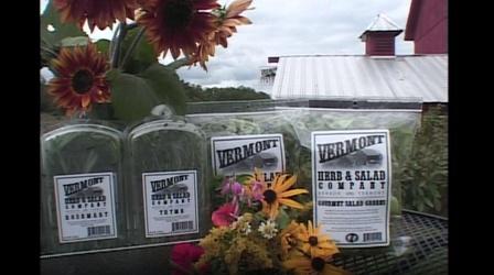 Video thumbnail: From The Archives Feast In The Making (2007) #101