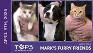 4/9/2026 | Greta, Tiffany and Pluto | Mark's Furry Friends Extra