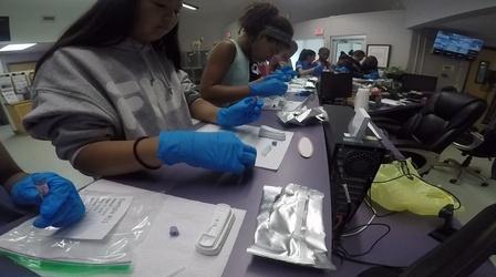 Video thumbnail: WFSU Education STEM Adventures: Magnets and Engineering