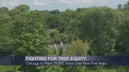The Push to Grow More Trees in Underserved Neighborhoods