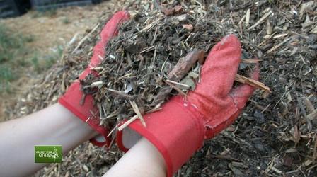 Video thumbnail: You Bet Your Garden You Bet Your Garden Ep. 58