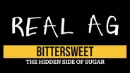 Bittersweet: The Hidden Side of Sugar