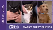 07/03/2025 | Trek, Copper, and Winnie | Mark's Furry Friends