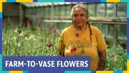 Urban Buds Provides Locally Grown Flowers for St. Louis