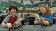 Alligator Habitat