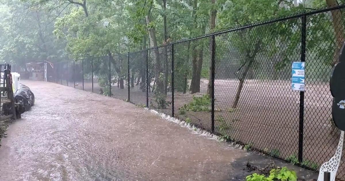 PBS39 News Reports | ZOO CLEANUP | Season 2020 | PBS