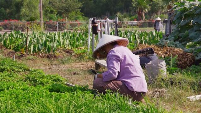 Bringing Traditional Vietnamese Farming to New Orleans