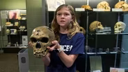 Hominin Skulls