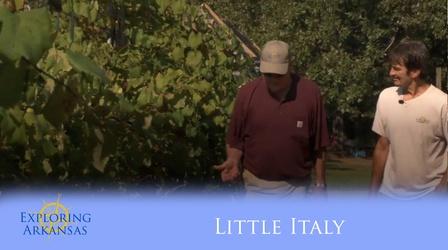 Video thumbnail: Exploring Arkansas Exploring Arkansas: Little Italy