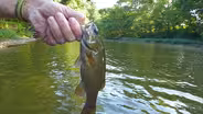 Kayak Fishing; Barren River Bass; FINs Lakes