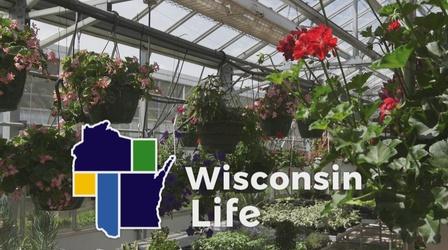 Video thumbnail: Wisconsin Life Live and Let Learn