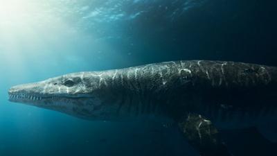 Discovering the Secrets of a Jurassic Sea Monster