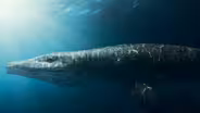 Discovering the Secrets of a Jurassic Sea Monster