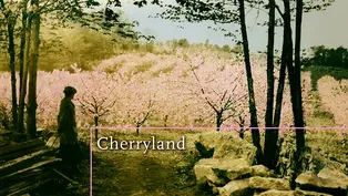 Cherryland