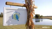 Bluebird Meadows Farm