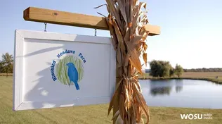 Bluebird Meadows Farm