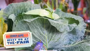 Fair play in the cabbage competition