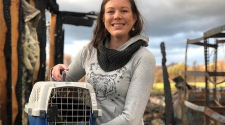 Video thumbnail: Southern Oregon Responds Cat Rescue